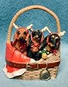 AKC Dachshund Dachshunds in Basket Christmas Ornament Figurine