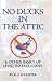 No Ducks in the Attic: & Other Basics of HVAC Installation