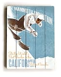 ArteHouse planked wood sign 18 x 24 Vintage California Ski Wall D�cor