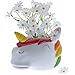 Rainbow Unicorn Ceramic Container Plant Pot Planter