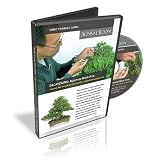Bonsai Training Video. DECANDLING: Japanese Black Pine