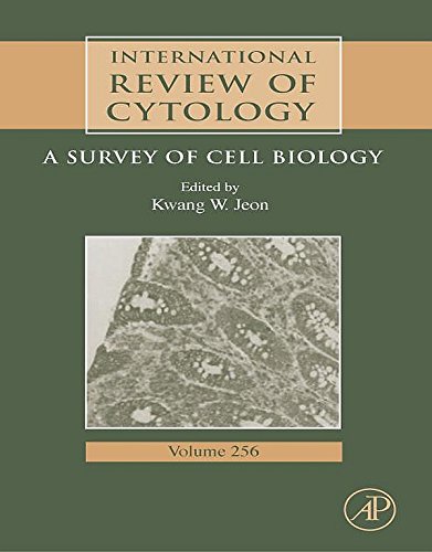 International Review Of Cytology: A Survey of Cell Biology: 256 (International Review of Cell and Molecular Biology)