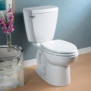 How to Install a Low Flow Toilet
