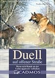 Duell auf offener Straße: Wenn sich Hunde an der Leine aggressiv verhalten