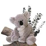 Gund Kaylee Koala Bear