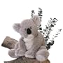 Gund Plush Koala "Kaylee"