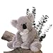 Gund Plush Koala "Kaylee"