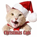 Christmas Cats