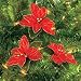 Lot of 12 Red Glitter Poinsettia Christmas Tree Ornaments