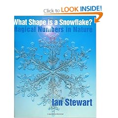 What Shape is a Snowflake?