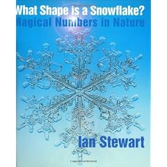 What Shape Is A Snowflake?
