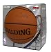 Chris Bosh, Toronto Raptors, Signed Authentic Game Ball