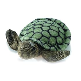  Aurora Plush 12 inch Sea Turtle Flopsie