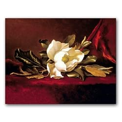 The Magnolia Flower - Box Set of 12 Greeting Cards and matching patterned envelopes