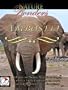 Nature Wonders AMBOSELI Kenya