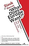 What does Europe want? : the Union and its discontents