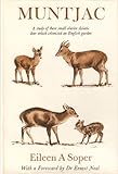 Muntjac : a study of these small elusive Asiatic deer which colonized an English garden
