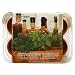 Mini-Greenhouse Kitchen Herbs