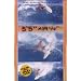 Lost Enterprises Presents: 5'5" x 19 �" Original Surfing DVD