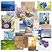 Mega Sympathy Greeting Card Value Pack (Some with Metallic foil) - Set of 40 (20 Designs), Large 5