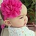 Qandsweet Baby Girl's Headbands Mesh Flower Hair Accessories (11 Pack)