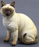 CAT TONKINESE Sitting Figurine NIB Resin NEW 6546