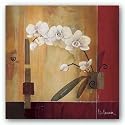 Orchid Lines II by Don Li-Leger 24"x24" Art Print Poster