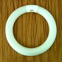 Daylight 22 watt Circular Tube Bulb (fits the Daylight Combination Lamp)