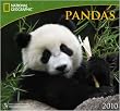 Pandas National Geographic 2010 Wall Calendar 13" X 12"