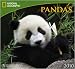 Pandas National Geographic 2010 Wall Calendar 13" X 12"