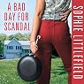 A Bad Day for Scandal: A Crime Novel