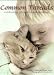 Common Threads: Celebrating Life with Down Syndrome by Cynthia S Kidder; Brian G Skotko ISBN 1930868146