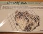 The Wolf Pack Tarot Deck