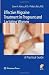 Effective Migraine Treatment in Pregnant and Lactating Women:  A Practical Guide Cover