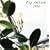 Pop Ambient 2008 [VINYL]
