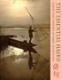 The Essential Haiku: Versions of Basho, Buson and Issa