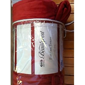 Beautyrest Micro Mink Warming Throw
