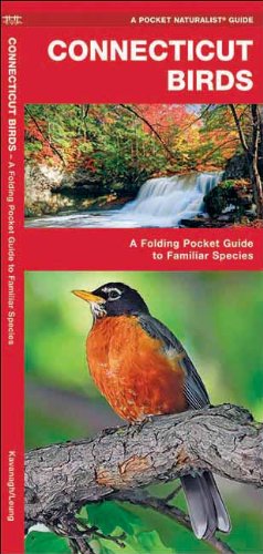 Connecticut Birds: A Folding Pocket Guide to Familiar Species (Pocket Naturalist Guide Series)