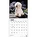 Bichon Frise 2015 Wall Calendar