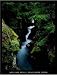 Avalanche Creek by William Neill. Size 26.00 inches width by 31.56 inches height. Hig...