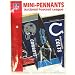 OFFICIAL NFL MINI PENNANT SET GIANTS COWBOYS PATRIOTS
