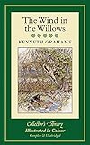 The wind in the willows