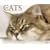 Just Cats 2009 Calendar