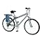 Mens Currie Trailz Electric Bike - Gray