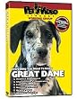 GREAT DANE DVD! Includes Dog & Puppy Training Video
