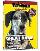 GREAT DANE DVD! Includes Dog & Puppy Training Video