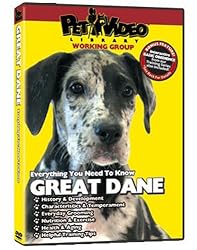 GREAT DANE DVD! Includes Dog & Puppy Training Video