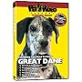 GREAT DANE DVD! Includes Dog & Puppy Training Video