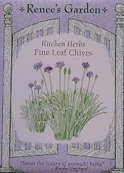 Fine Leaf Chive Seeds 750 Seeds