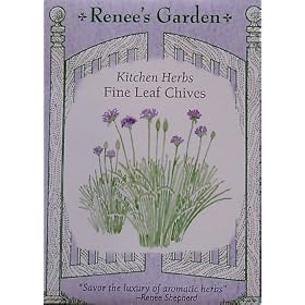 Chives Fine Leaf Seeds (Allium schoenoprasum)